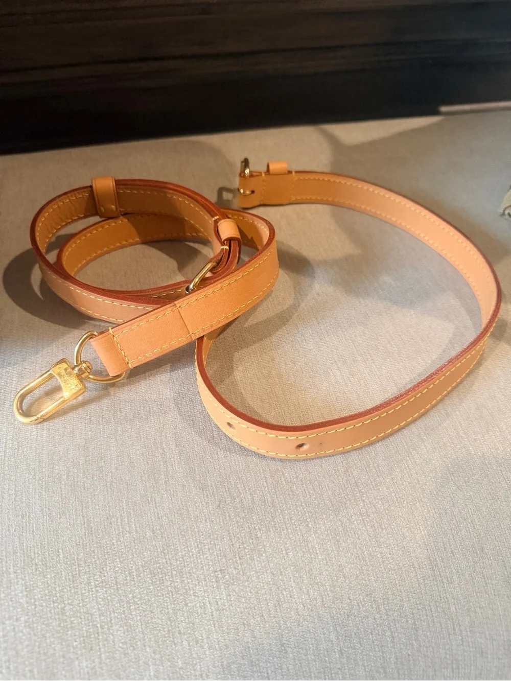 Louis Vuitton Speedy Giant Reverse Monogram
